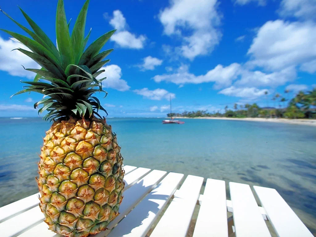 Staying Healthy on Holiday