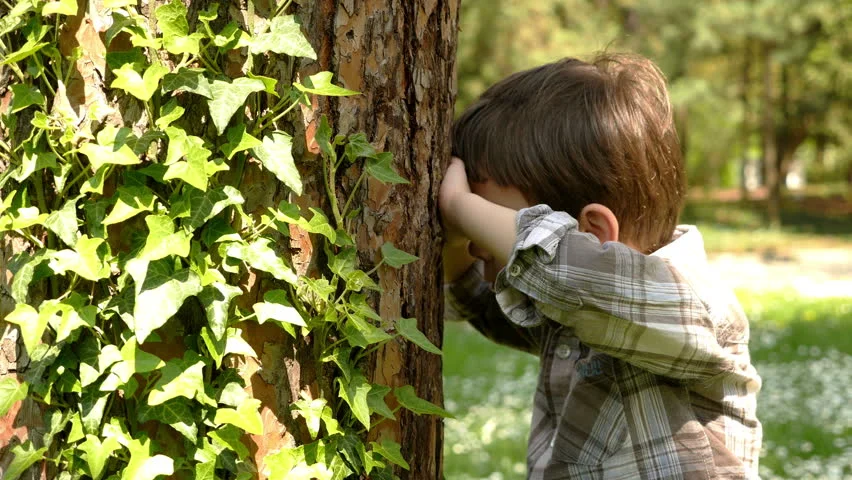 Hide and Seek