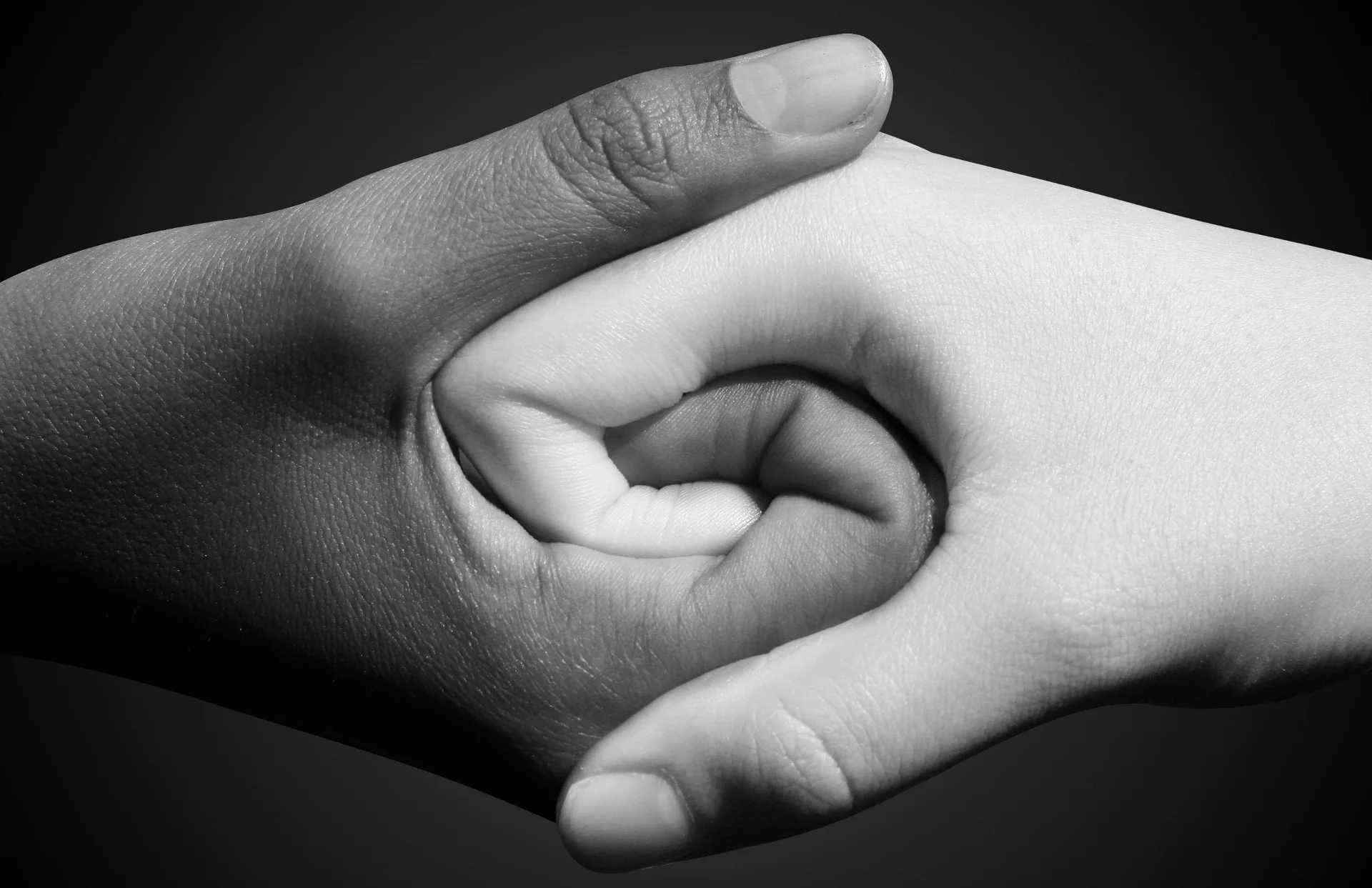 A Conversation on Race