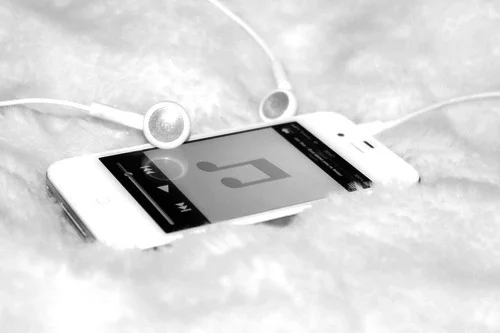 Playlist 24: Top 5 New Recommendations