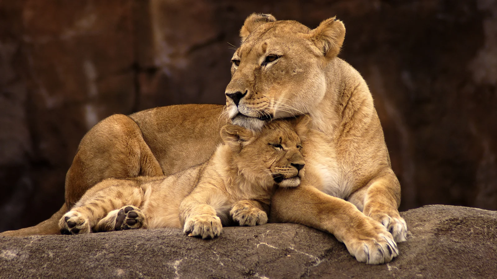 via National Geographic Kids