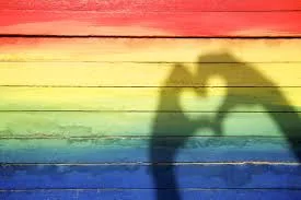 LGBTQ+ Archive Icon (1).jpeg