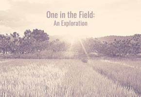 One in the Field: An Exploration