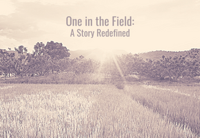 One in the Field: A Story Redefined