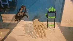 3D Printed Prosthetics on Display at MODA