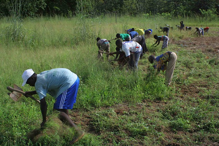 BVC Togo 2010 african lawn mowers.jpg