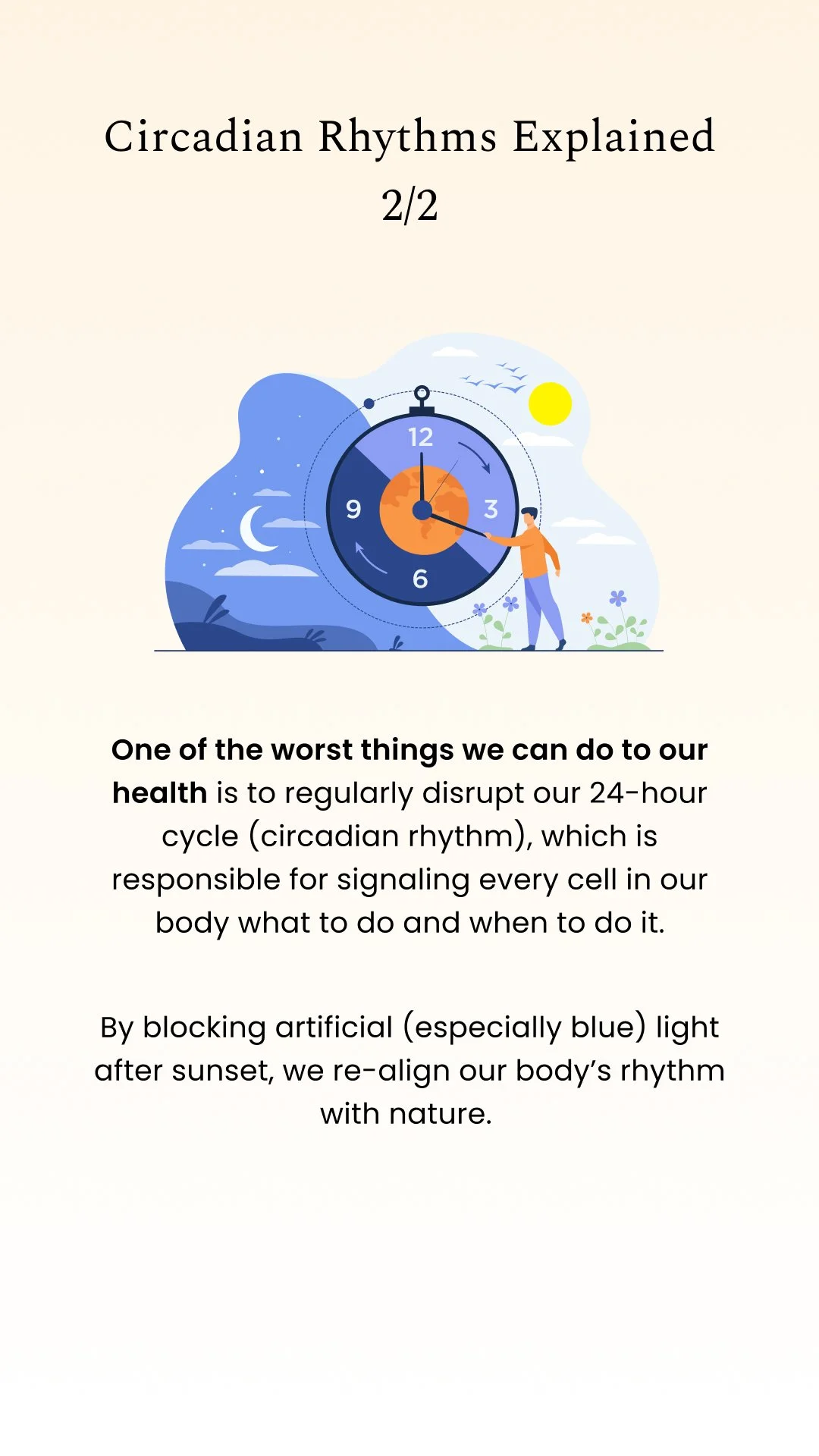 Story_Circadian Rhythm Explained 2.jpg