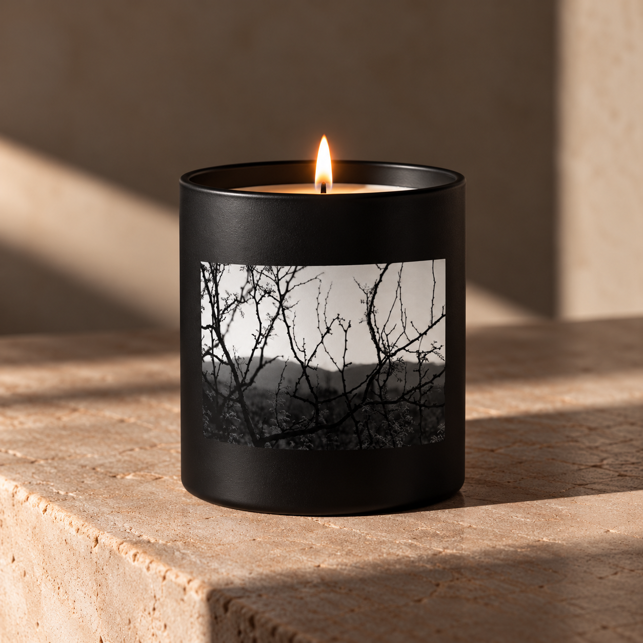 Moody Black Candle on Stone.png