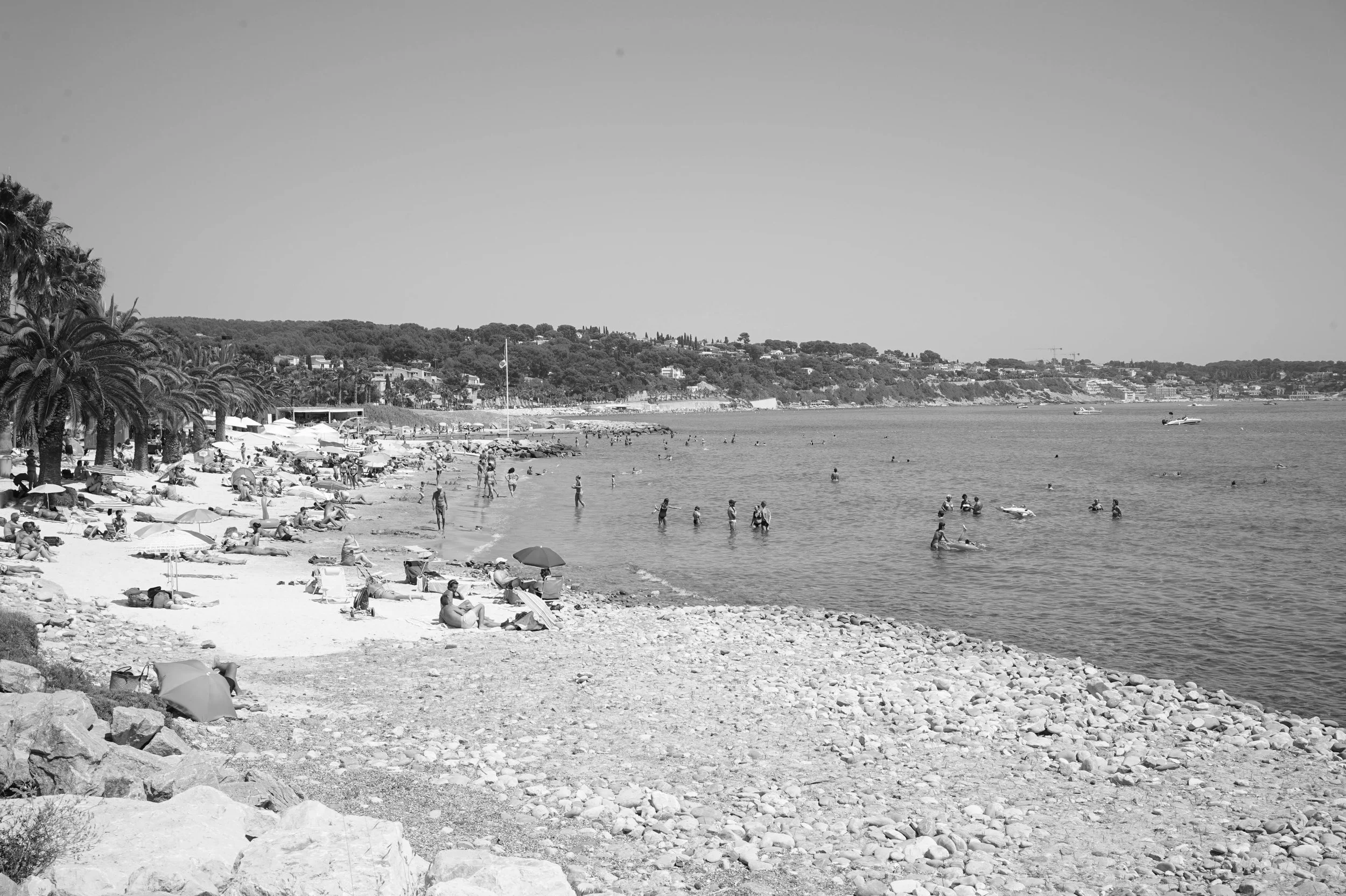 DSC02598-2.jpg