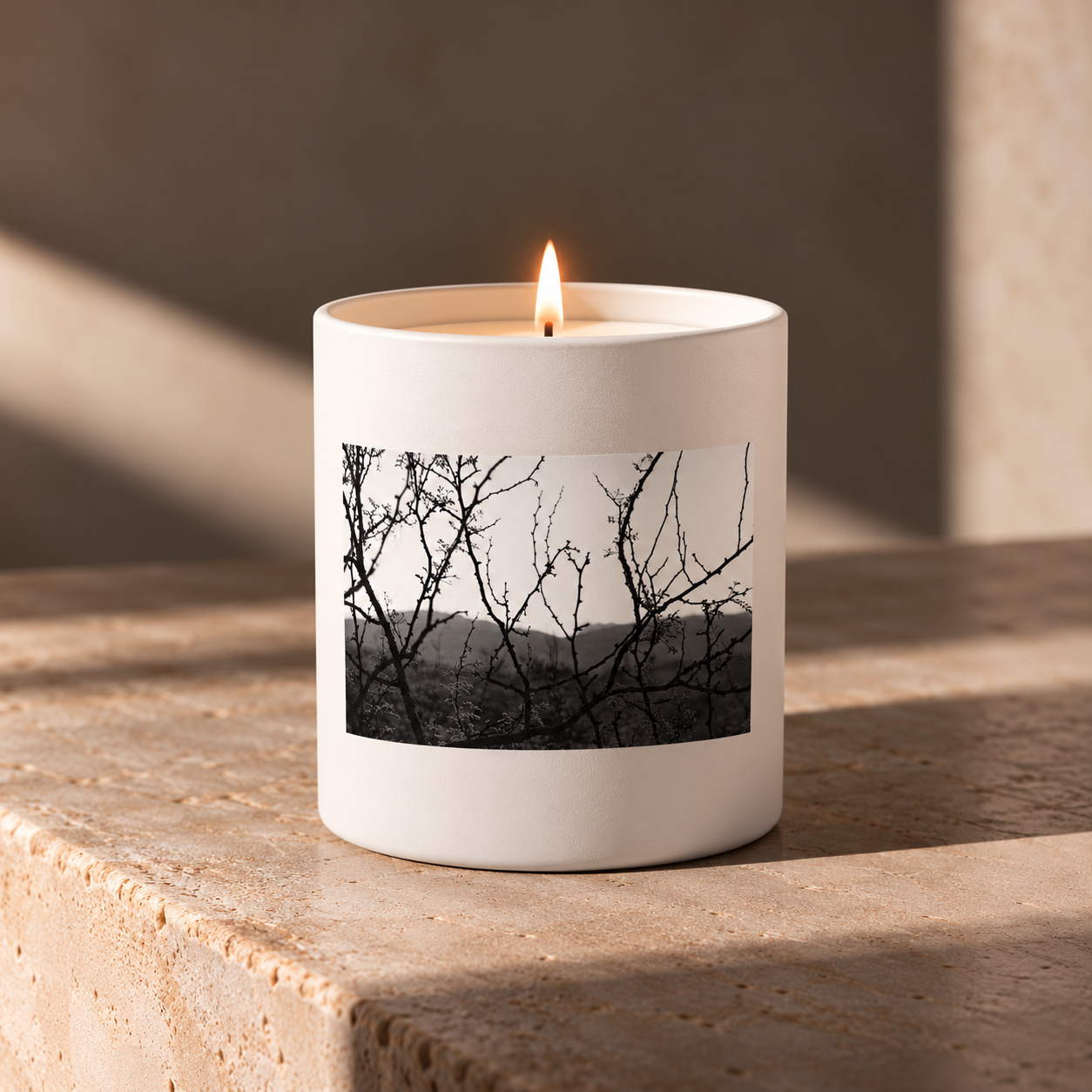 Sunlit Thorn Branch Candle.png