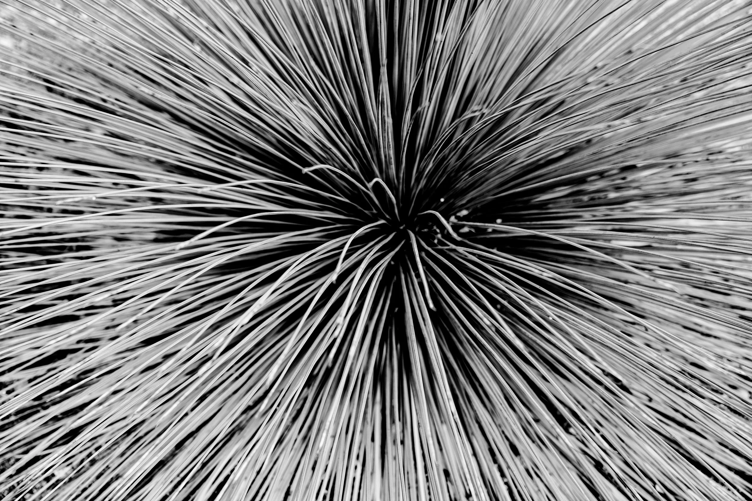 Limited Edition Fine Art Photography Signed Prints 10