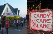 Ted Drewes and Christmas Lights