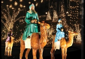 Way of Lights