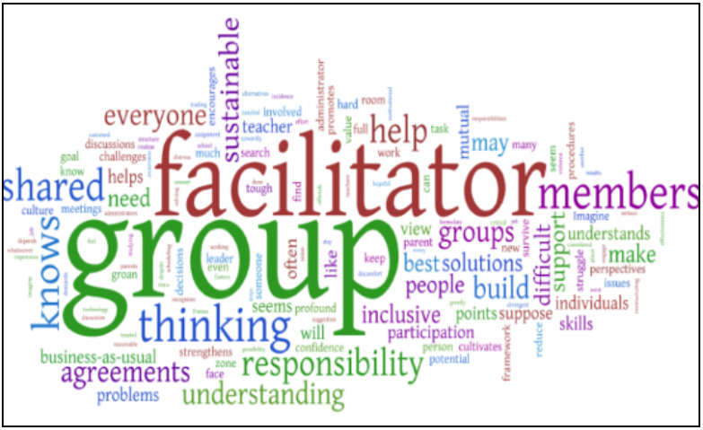 Programming Facilitator's Training