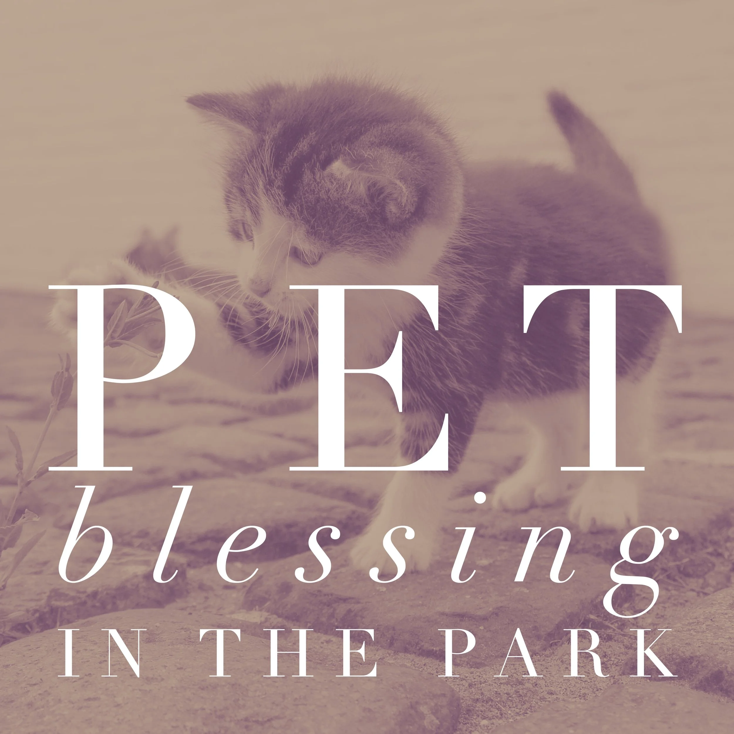 Pet Blessing