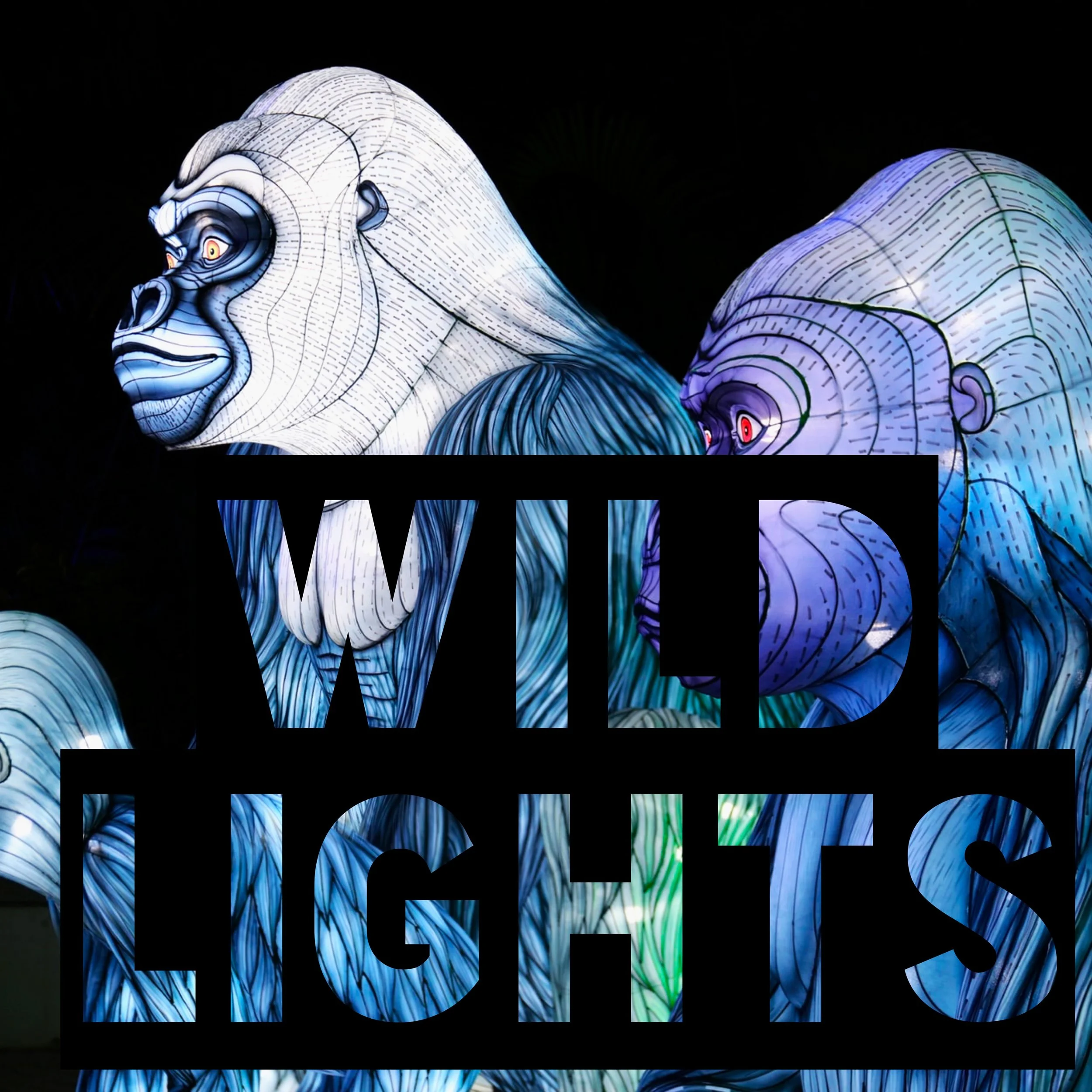 Wild Lights