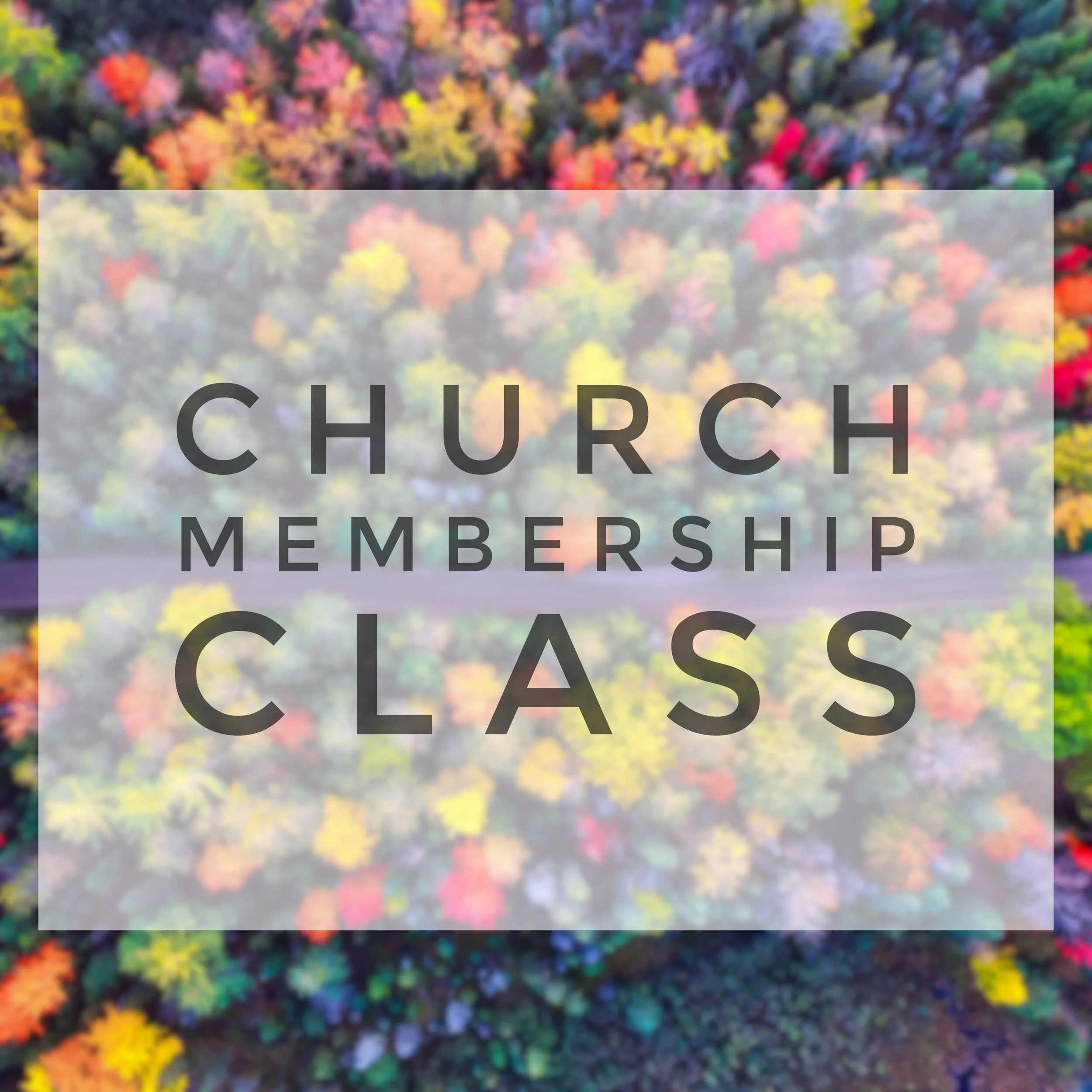 February 2020 Membership Class