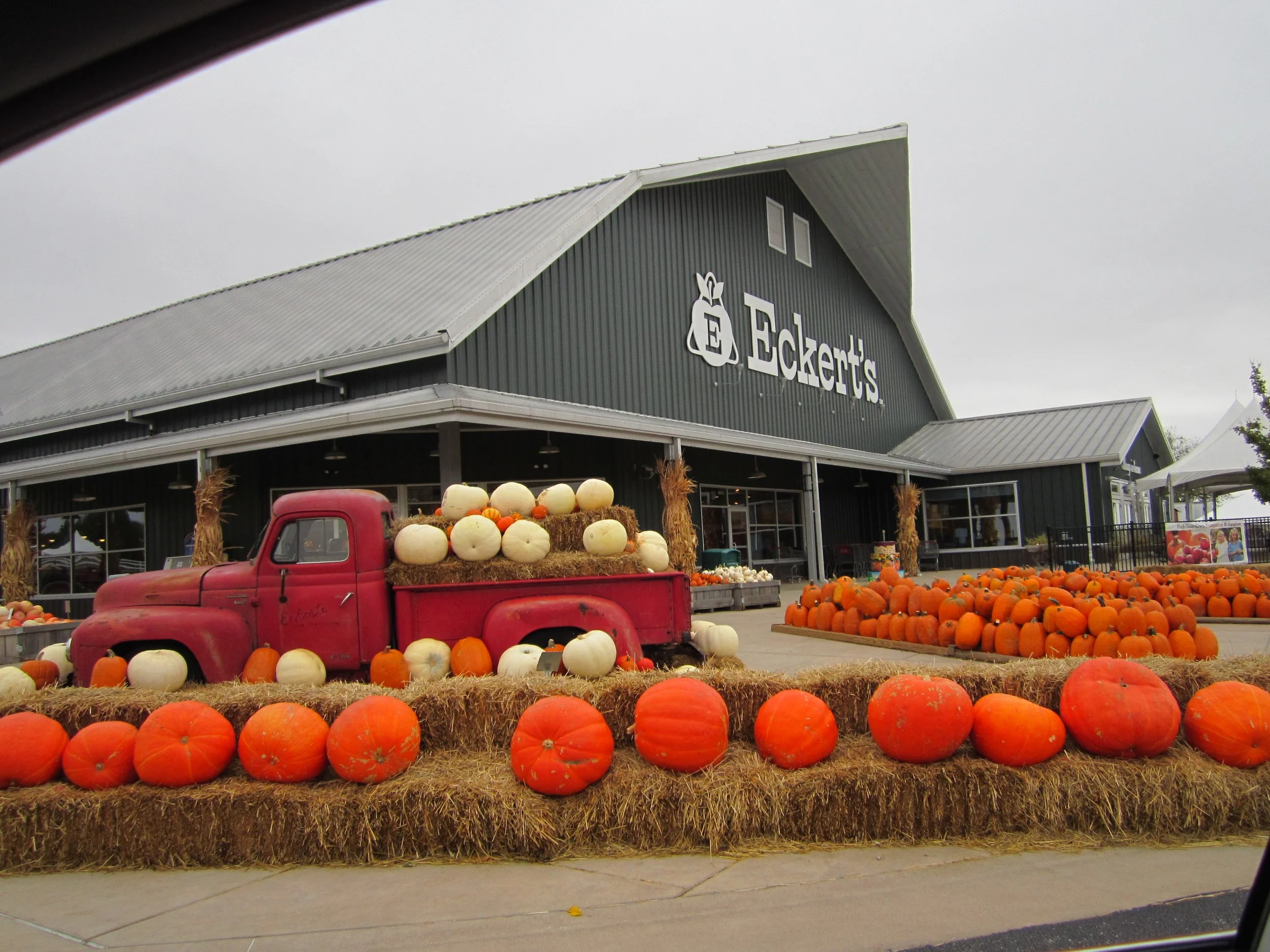 Working Professional's Dinner at Eckert's Farm