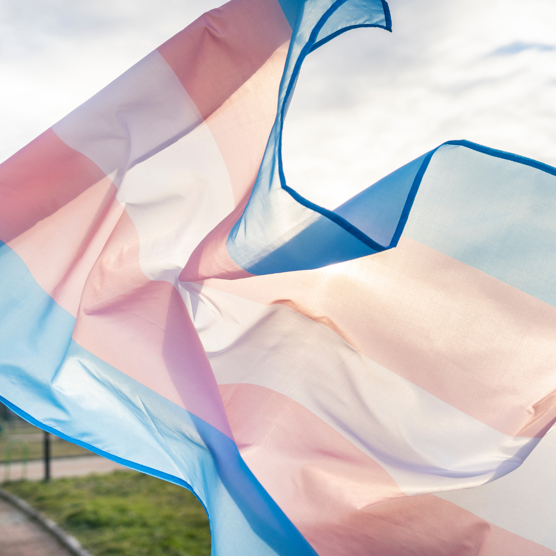 LGBTQ+ Faith Alliance Statement of Support of Trans Missourians