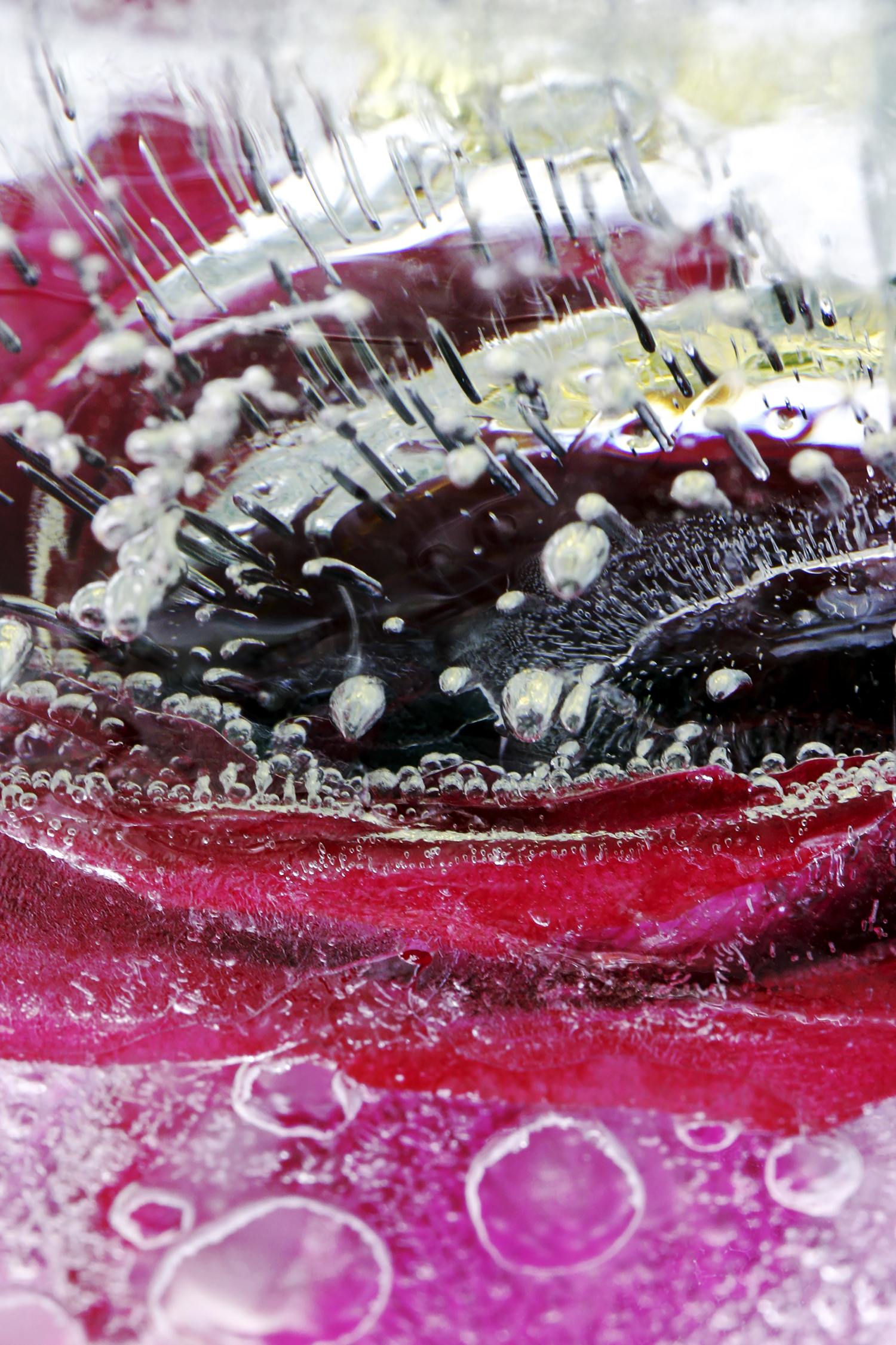 Modern Times_Frozen Flower