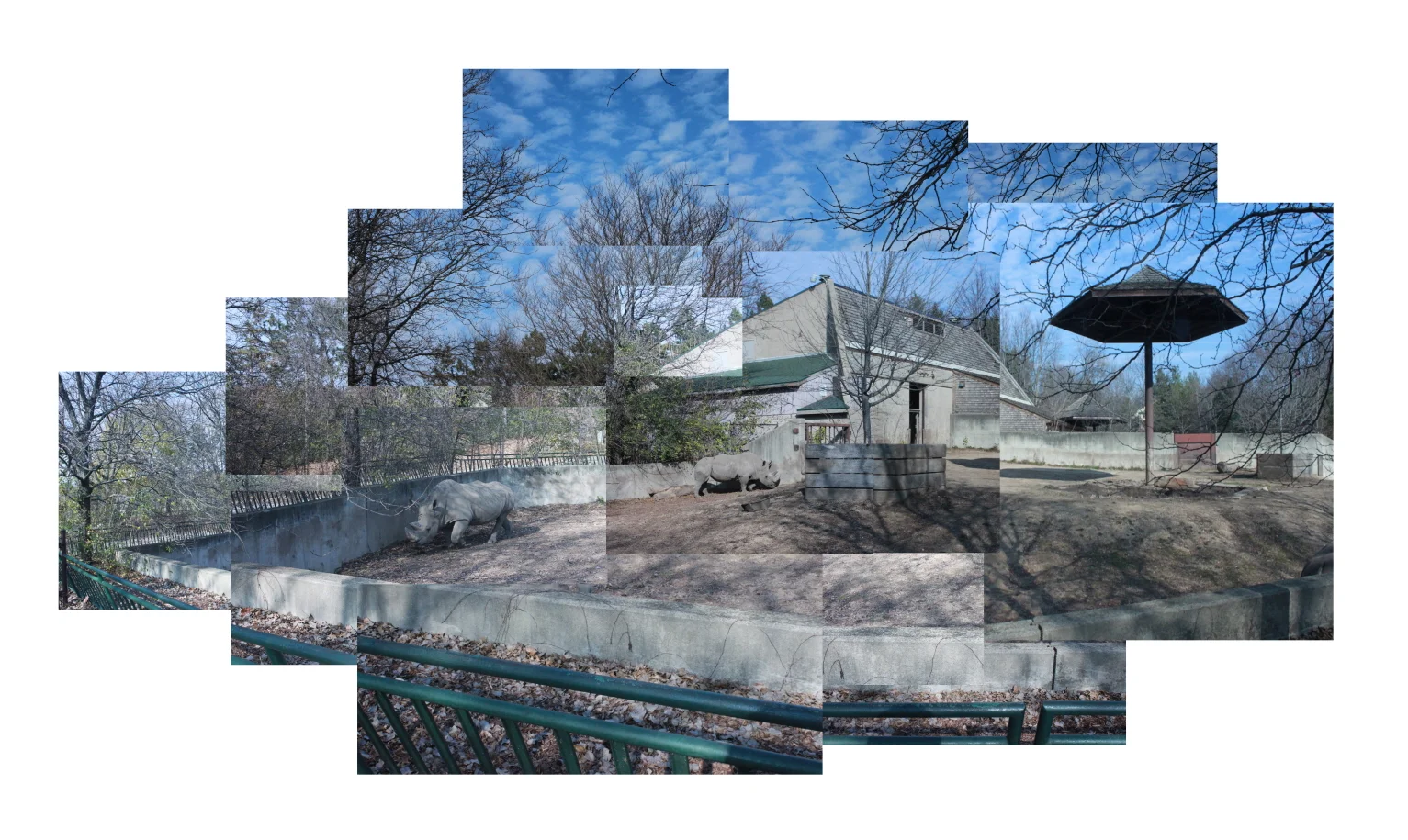 3_Zoo_rhinoceros_900.jpg