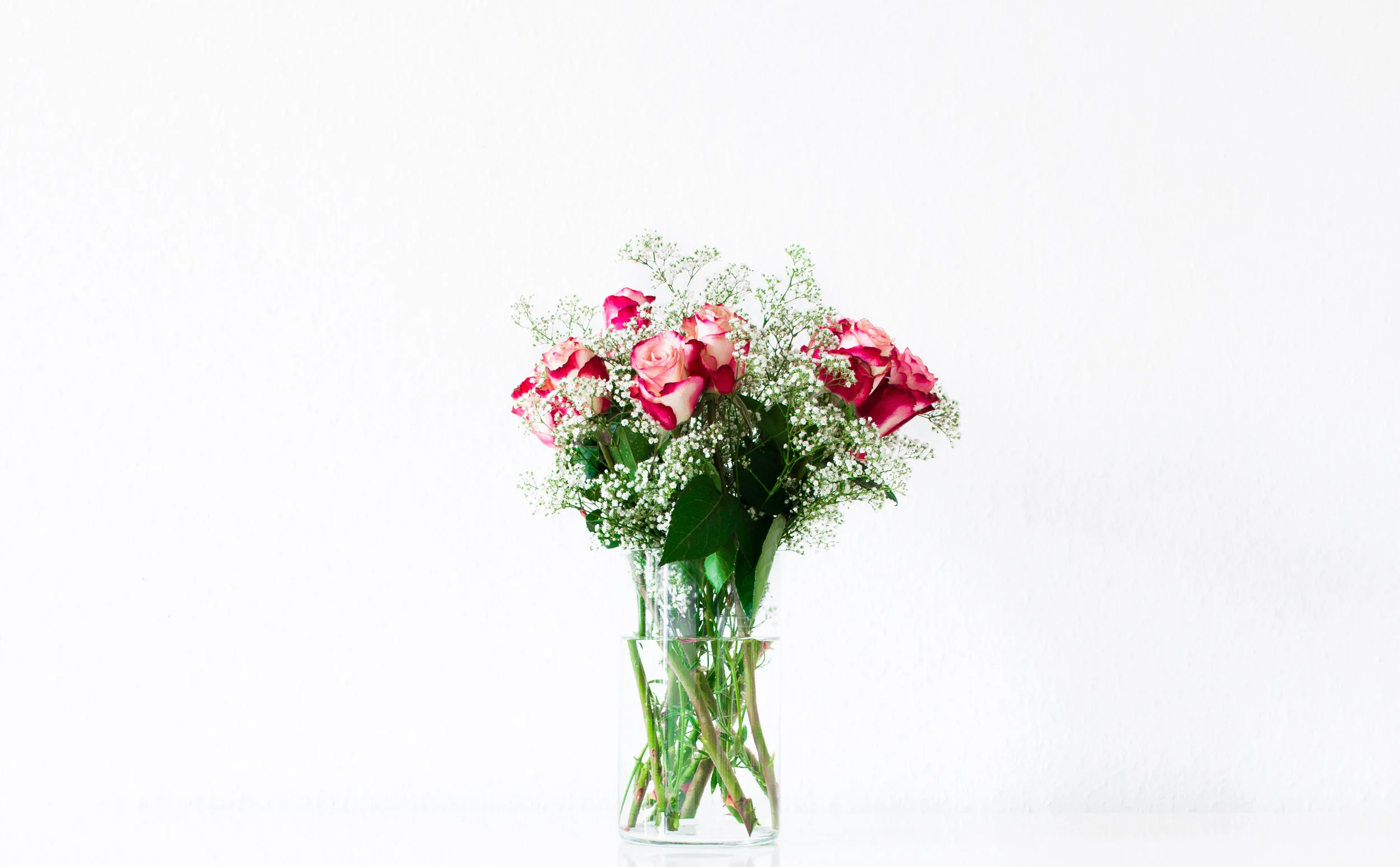 4 Beautiful Script Typefaces