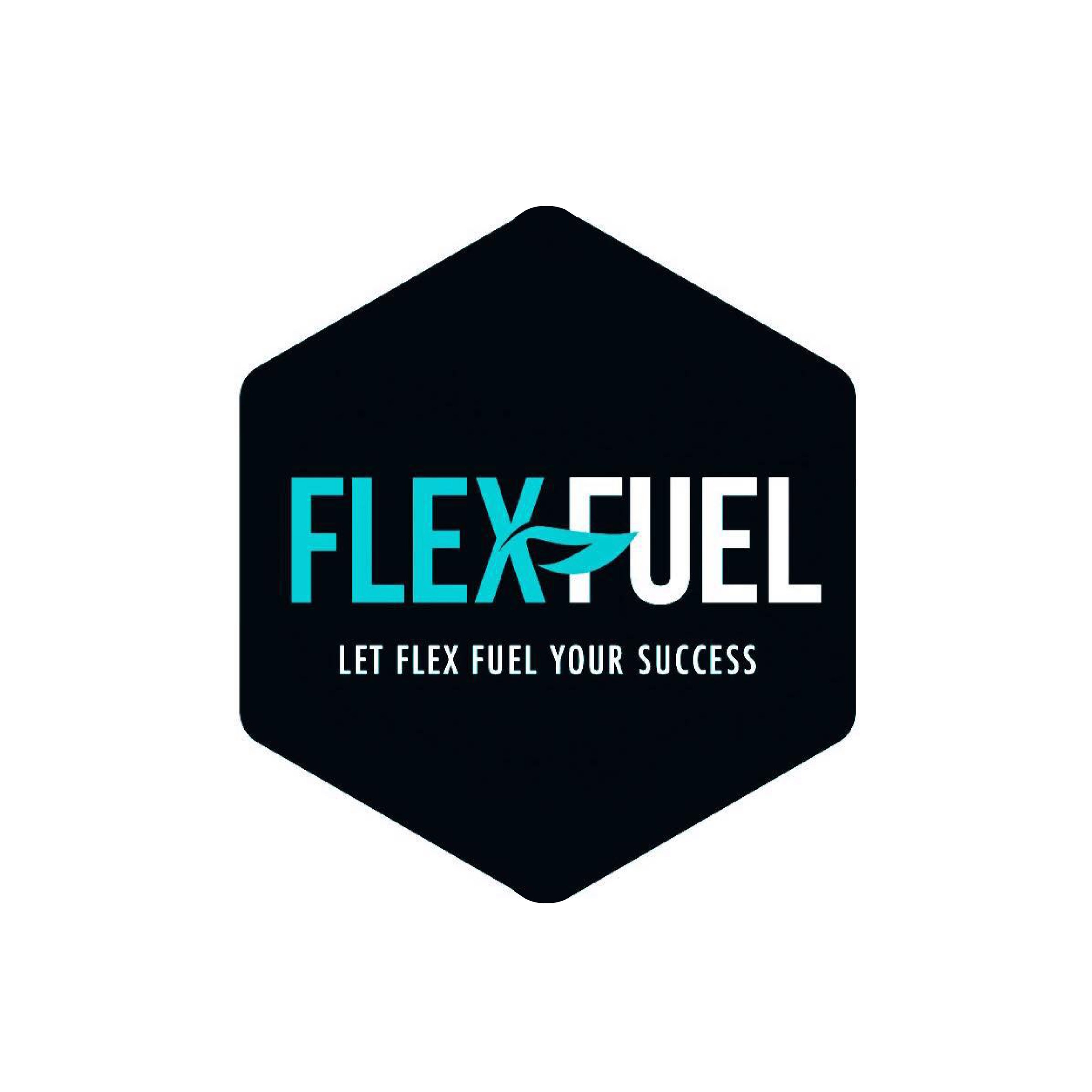 flexfuel-01.jpg