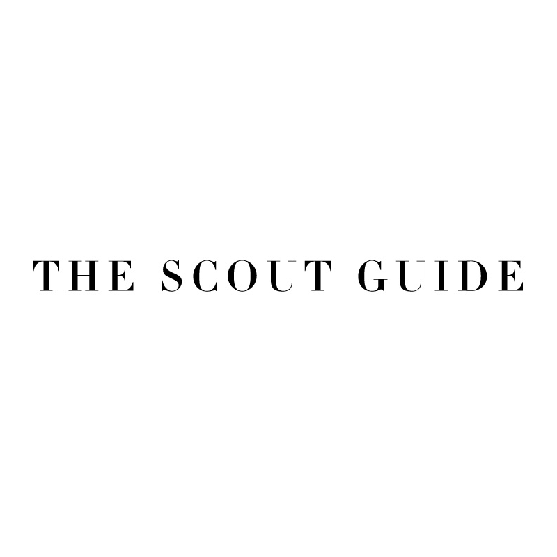 TheScoutGuide.png