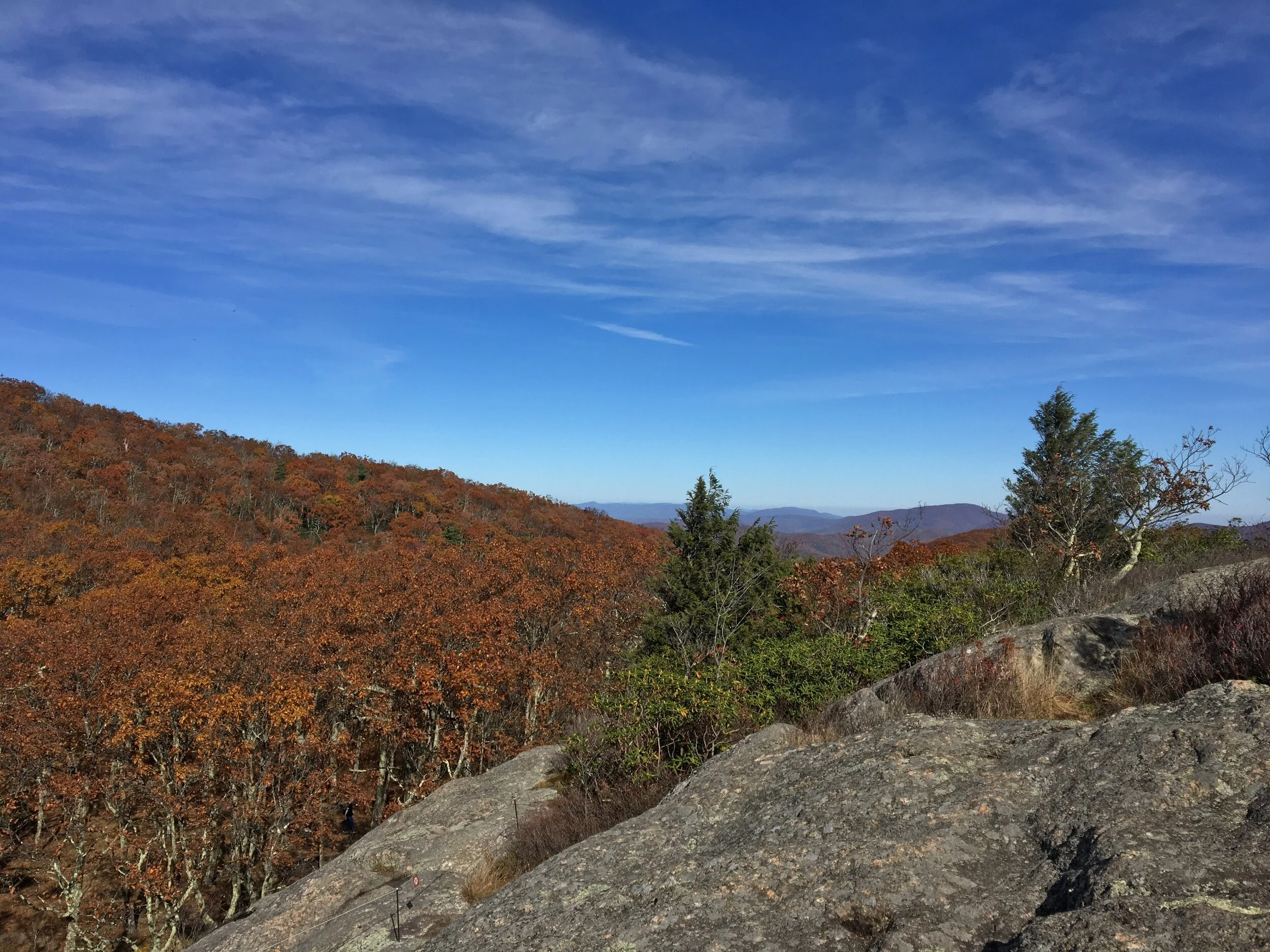 The Blue Ridge Parkway: A Guide to Your Next Adventure — Urban Mountain ...