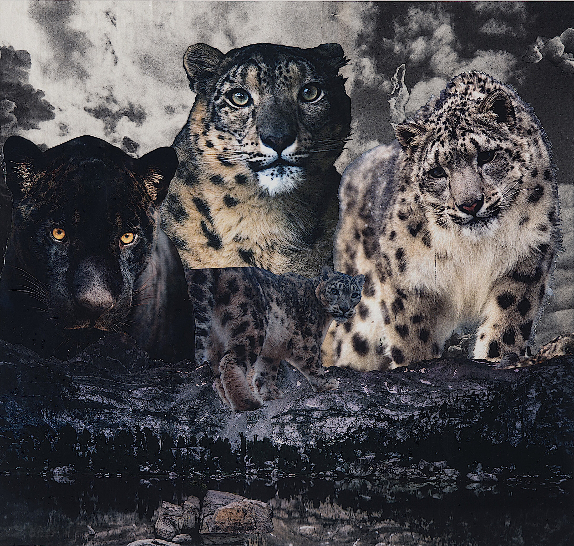 "Darkness Descends with Extinction" - SOLD