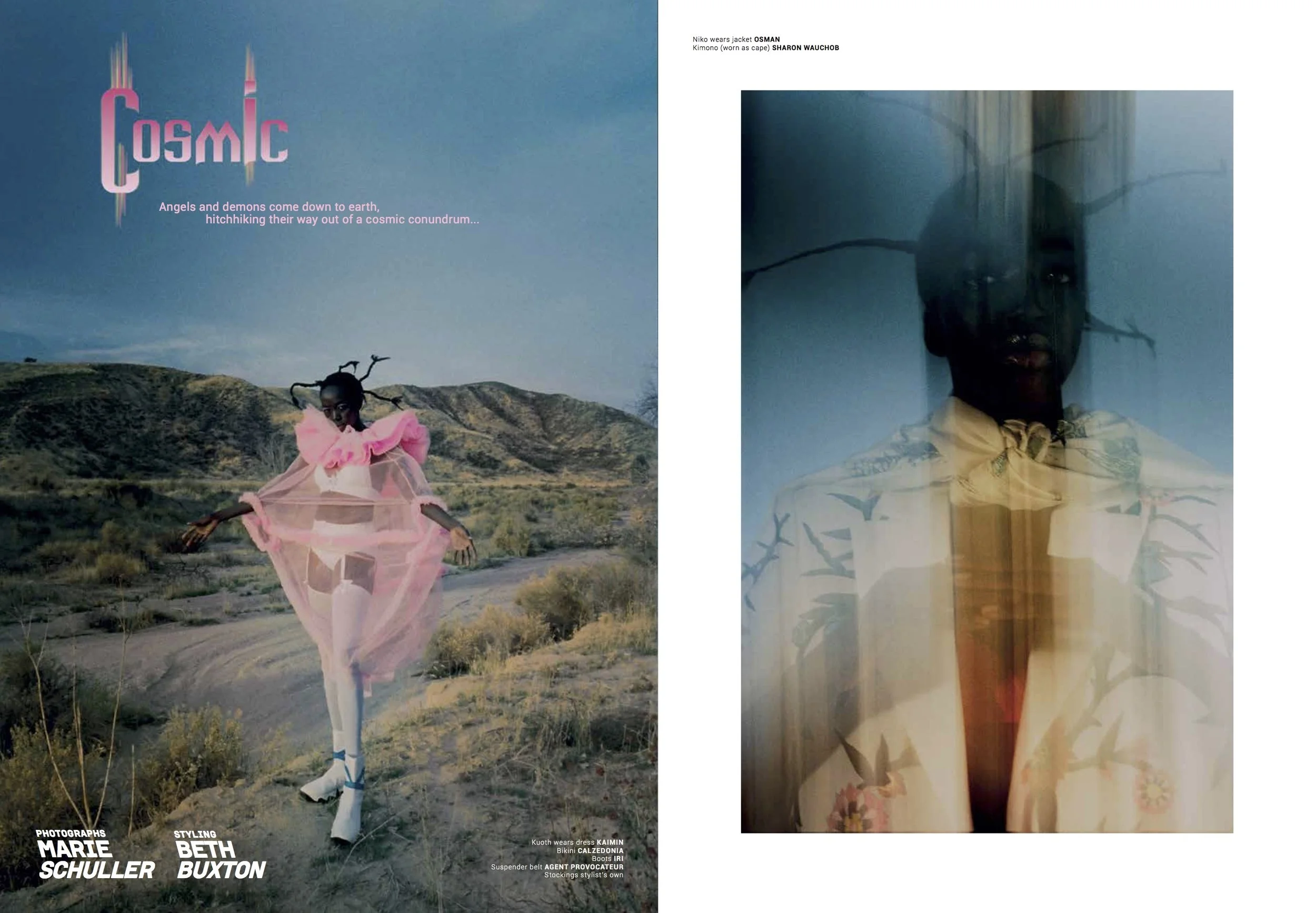 king kong magazine print issue