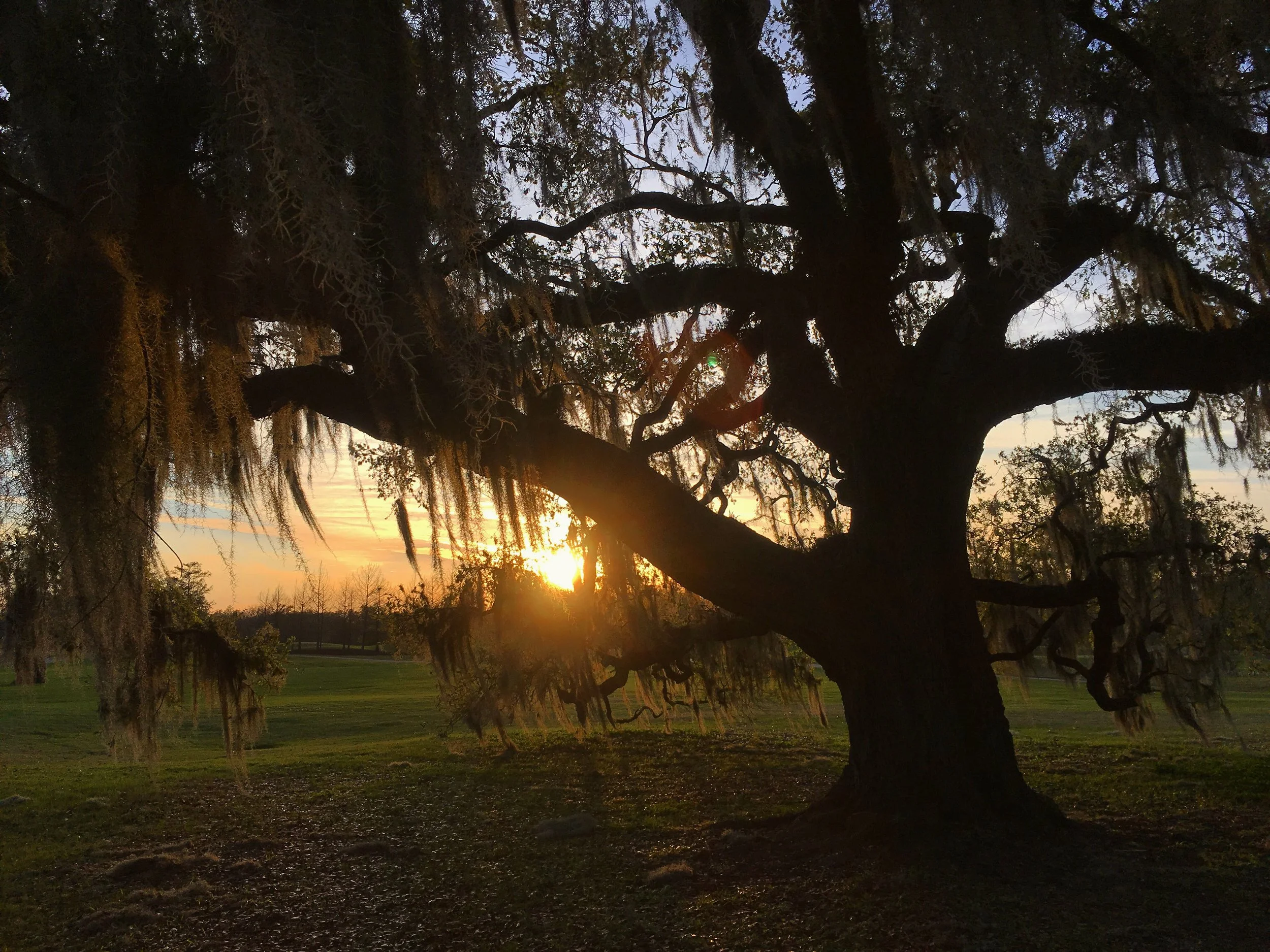 The Nude Party at GASA GASA in NOLA