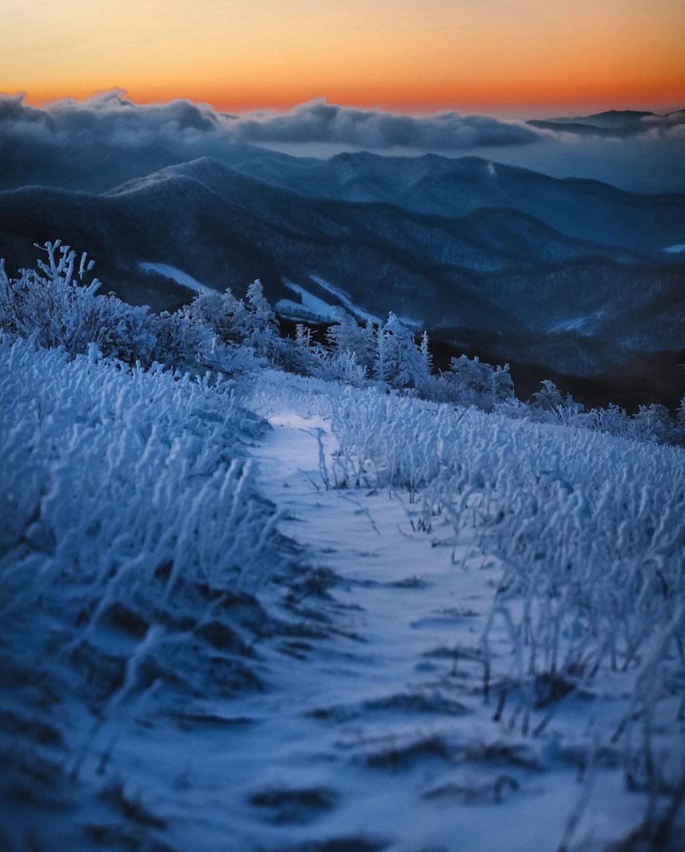 Early bird gets the 🐛 just don&rsquo;t forget your coat! 

Anotha one by @andrewtburns 

#hellofrom #visitnc #ncoutdoors #blueridgemoments #eastcoastcreatives #828isgreat #artofvisuals #amongthewild #awakethesoul #folkscenery #earthoutdoors #outdoor