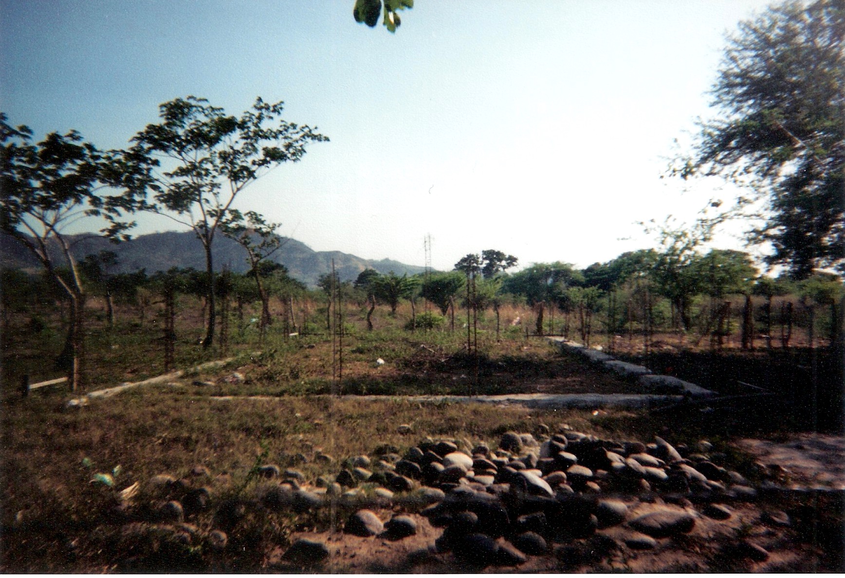 Honduras-01.jpeg