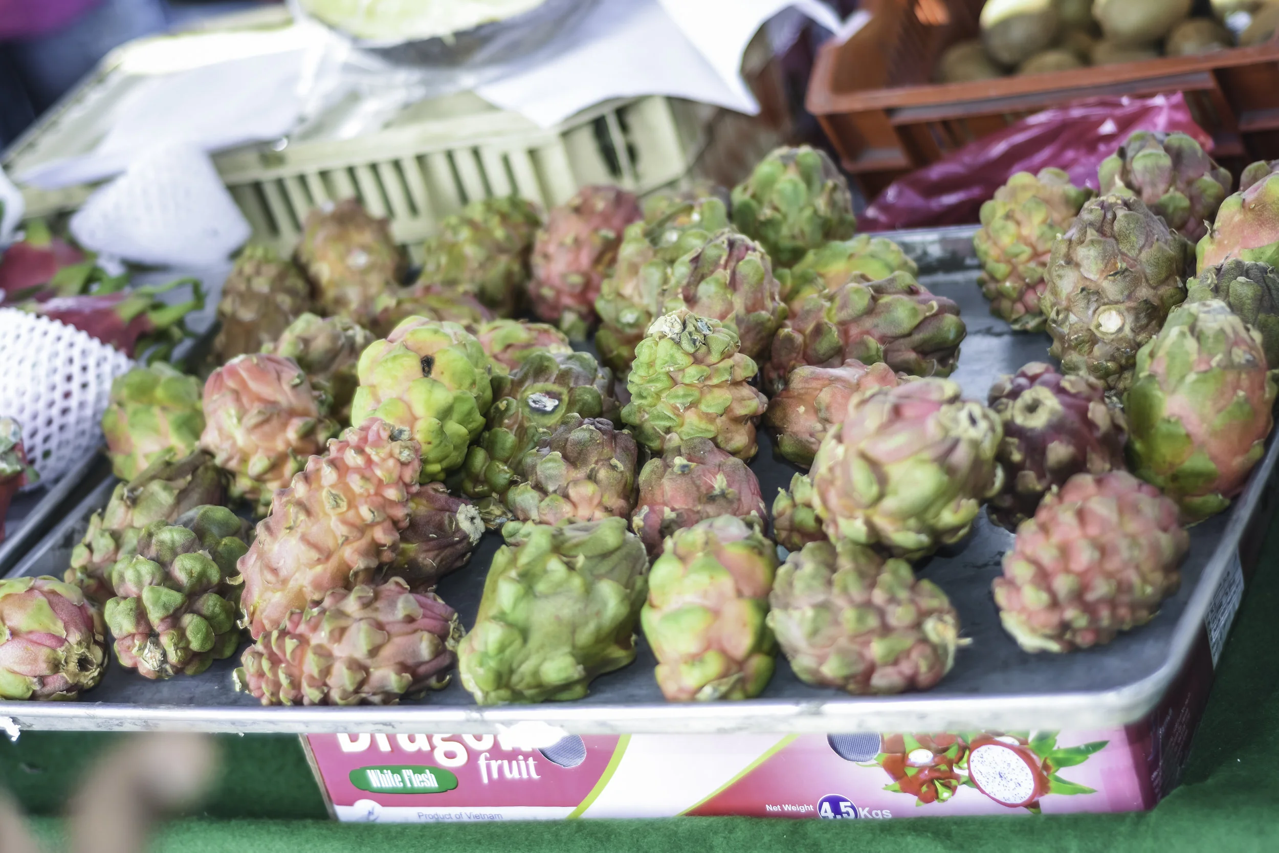 DSC_2617.jpg