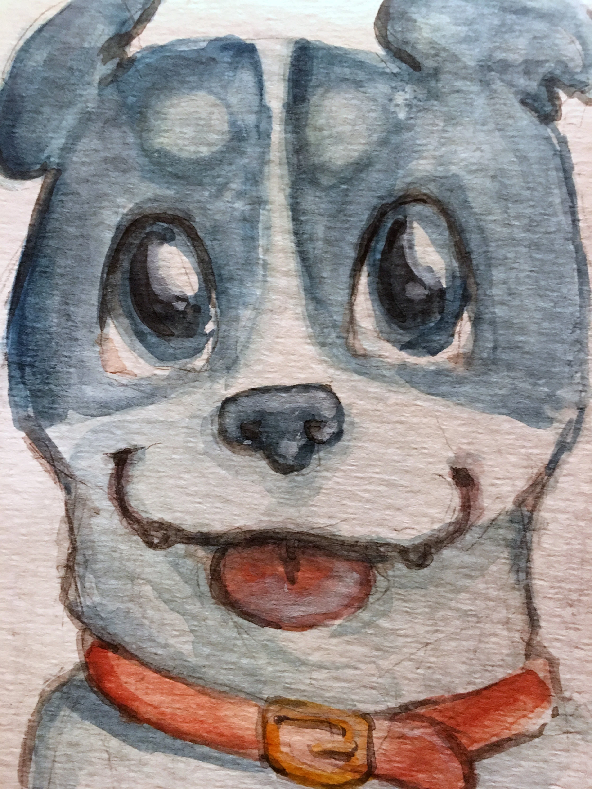 File_005.jpeg