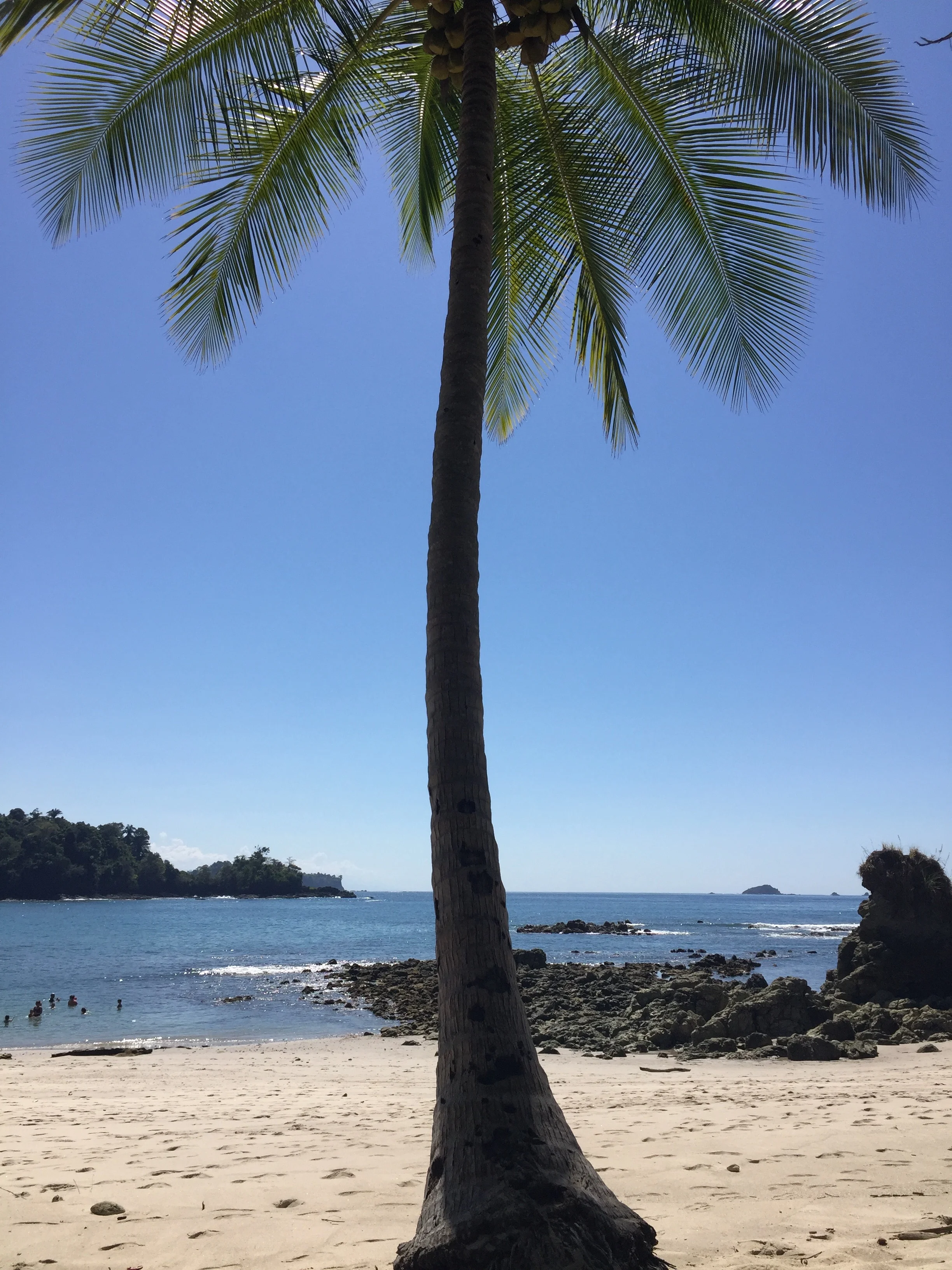 This is pura vida.