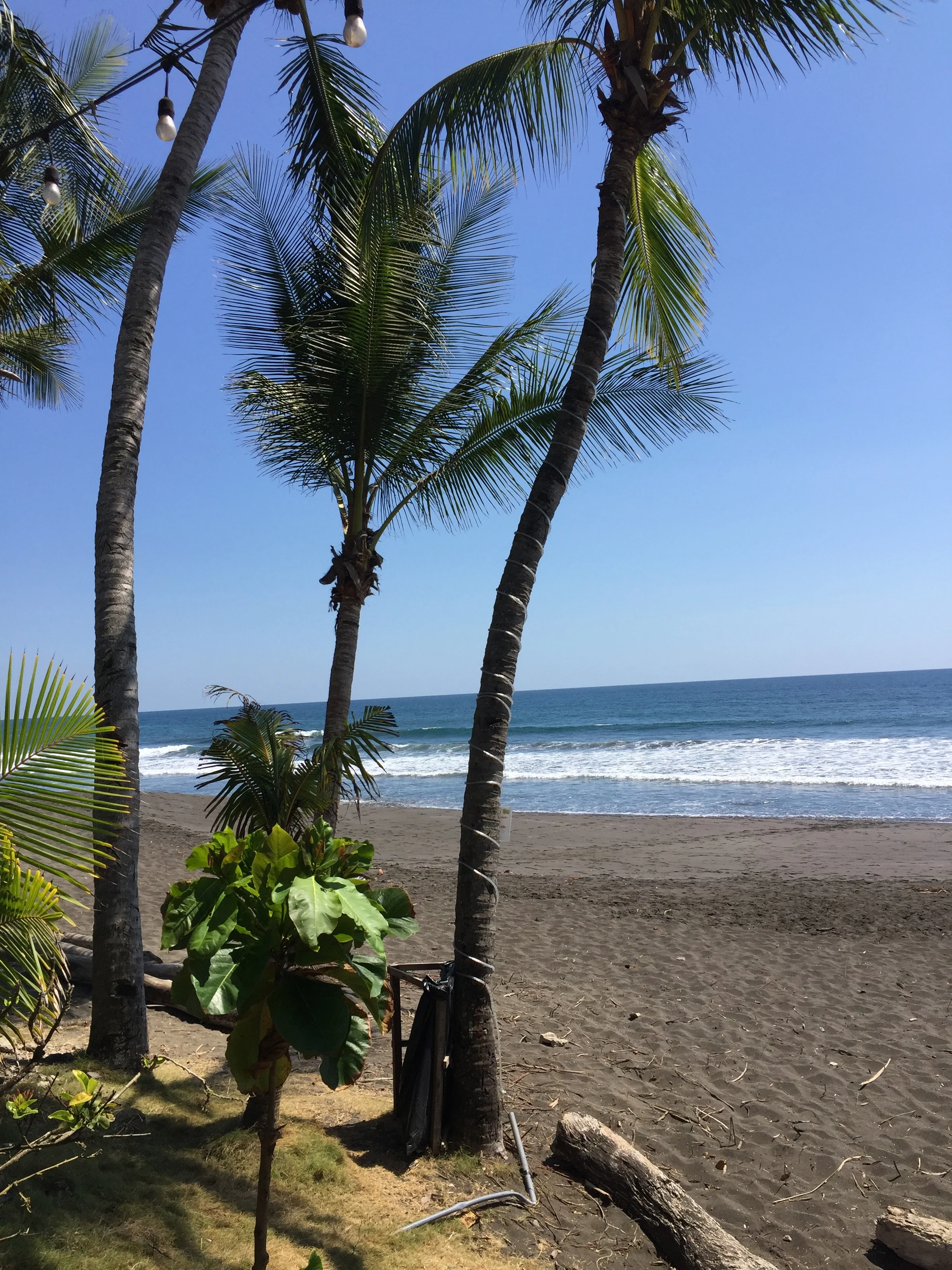 IMG_2601.jpeg