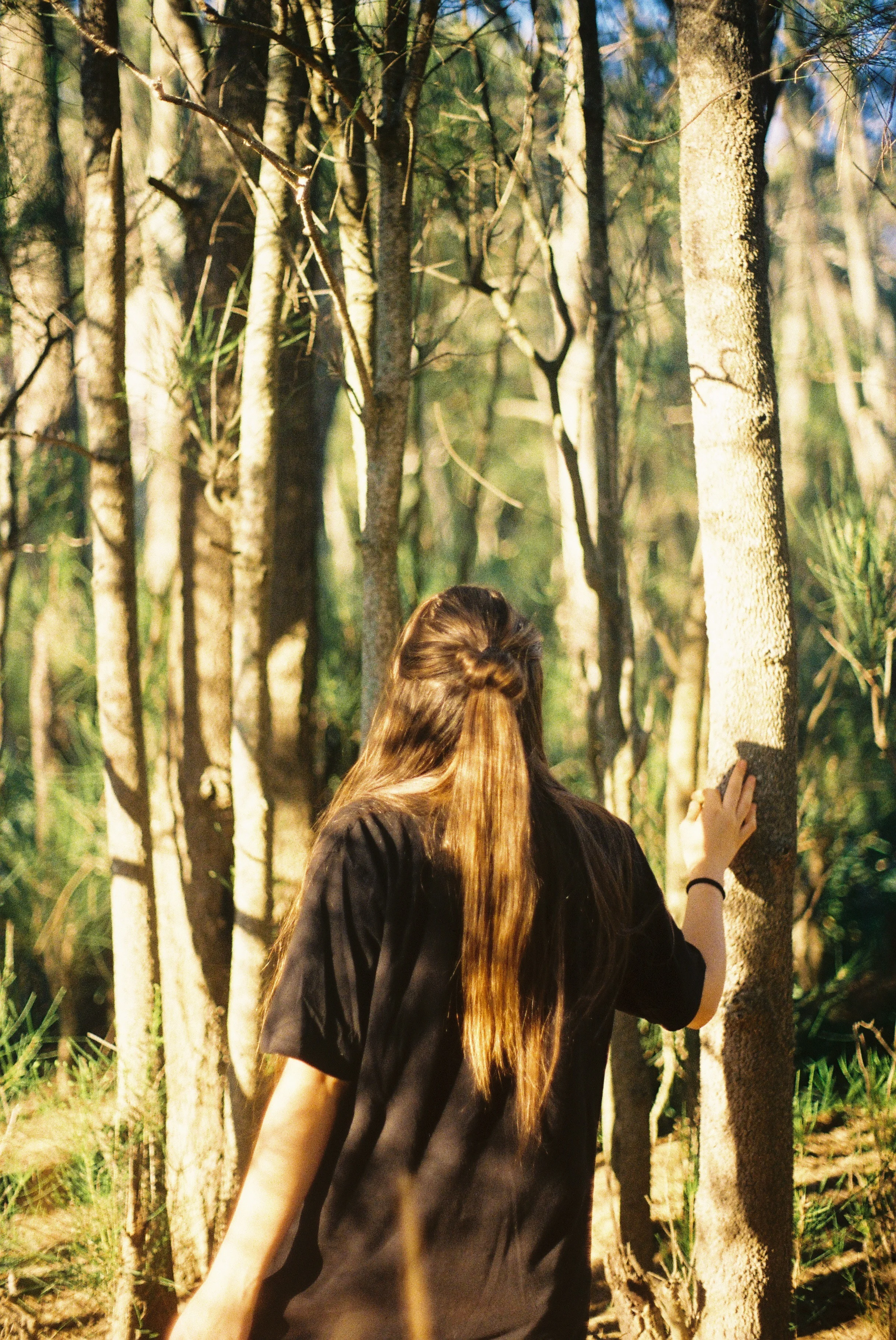 caitlin-venerussi-UhfI2Yca4qo-unsplash.jpg