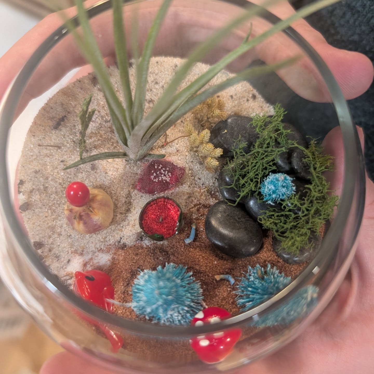 Some scenes from our first (of hopefully many!) Teen Takeovers! We had so much fun making terrariums and cute winter homes. I think we all agree we want to do more! 

Emilee, Bonnie &amp; Sarah really made this event so awesome ❤️ Thank you for shari
