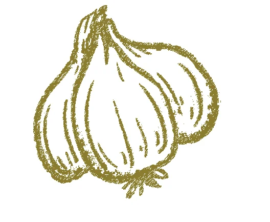 Garlic 6361917180 5.jpg