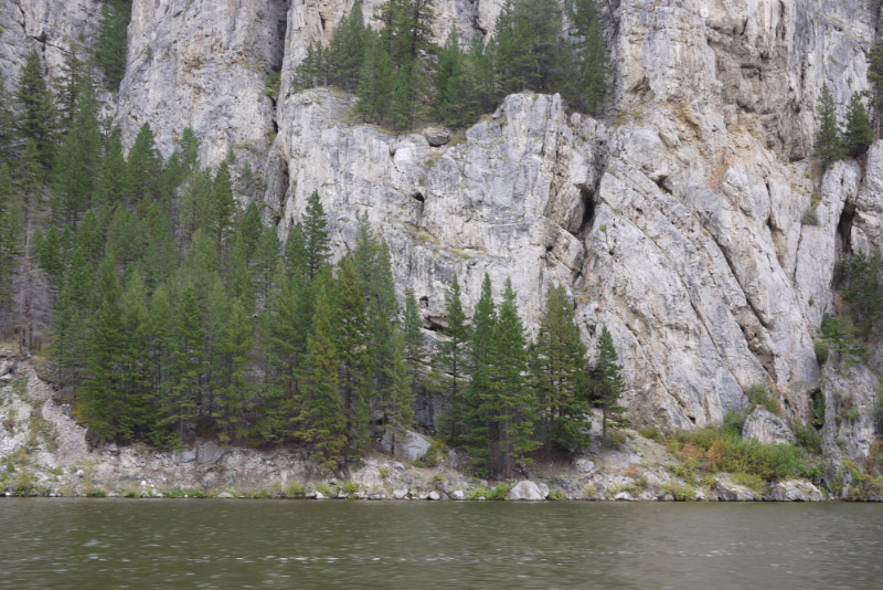 Numerous folds exposed in the Madison Group limestone along Holter Lake.