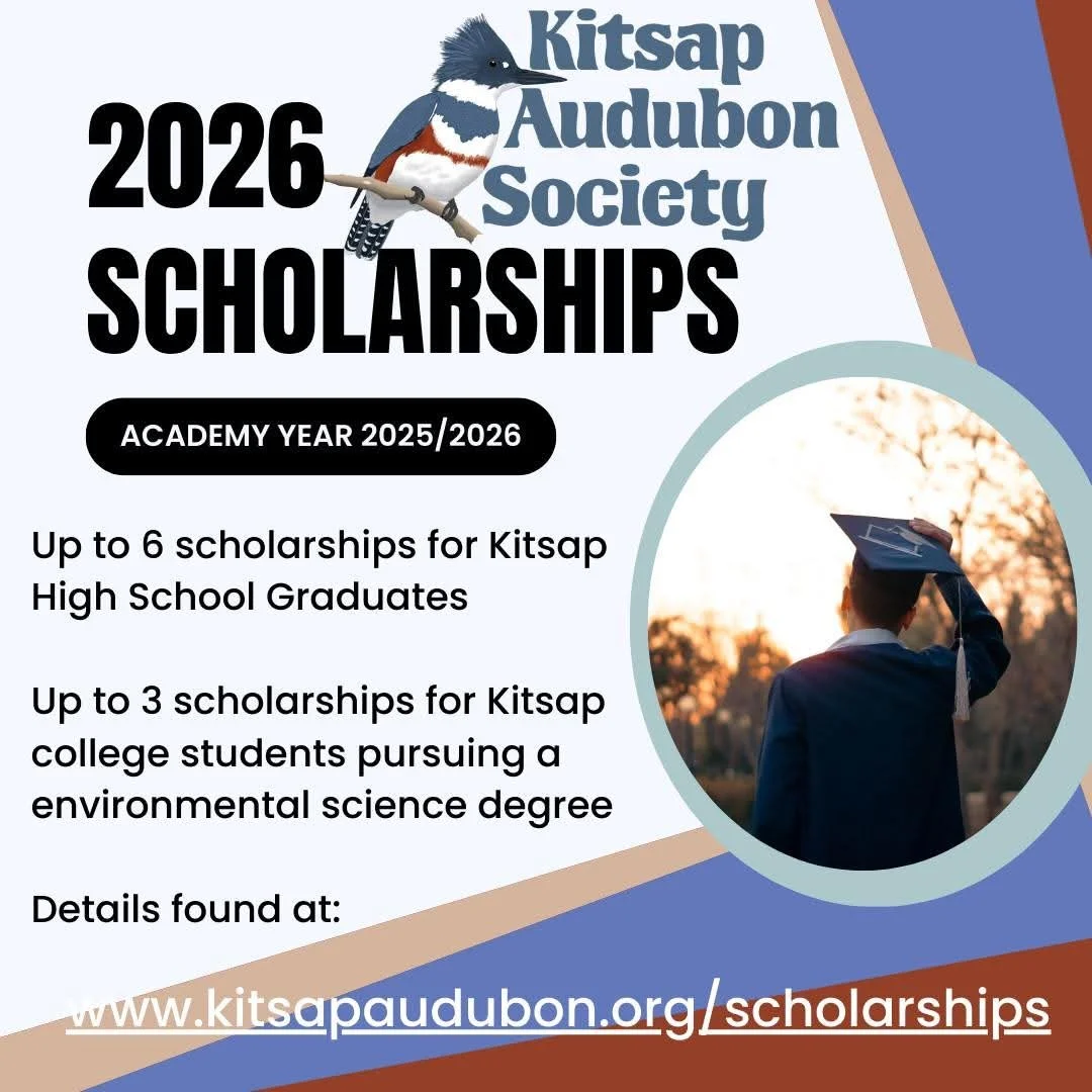 Image of student graduating and text about KAS scholarship program now open