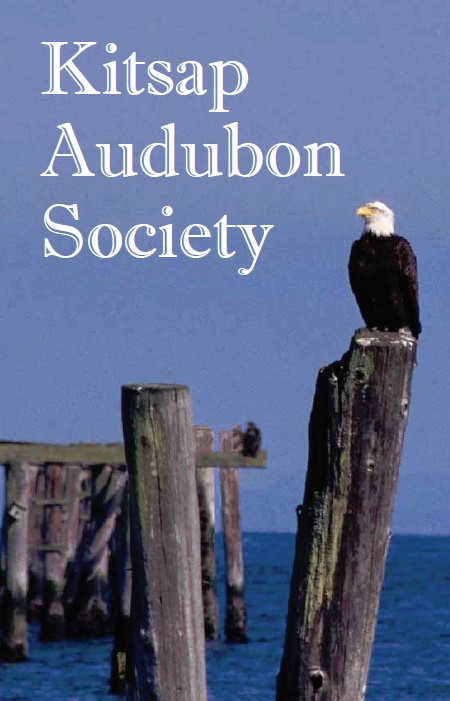 Kitsap Audubon Brochure