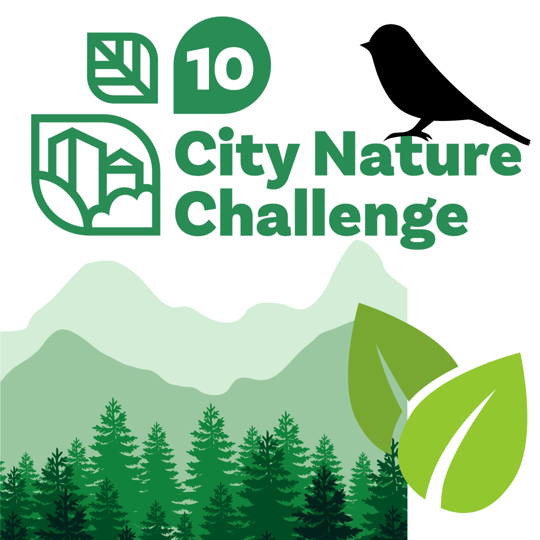 Bioblitz 2025: City Nature Challenge - Port Gamble Forest Heritage Park