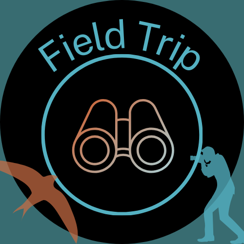 Field Trip: Montlake Fill, Seattle