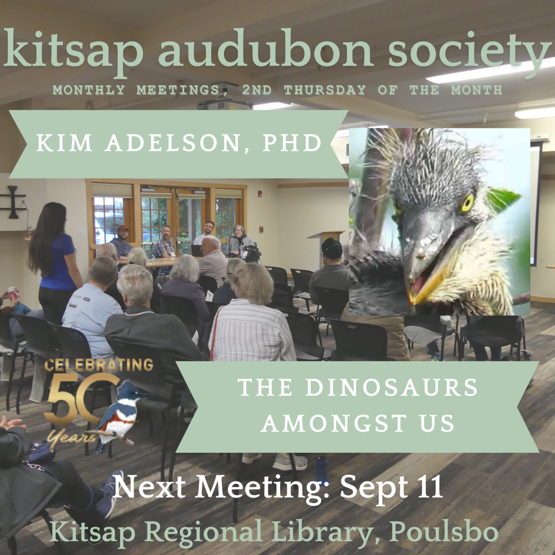 Kitsap Audubon General Monthly Meeting - September