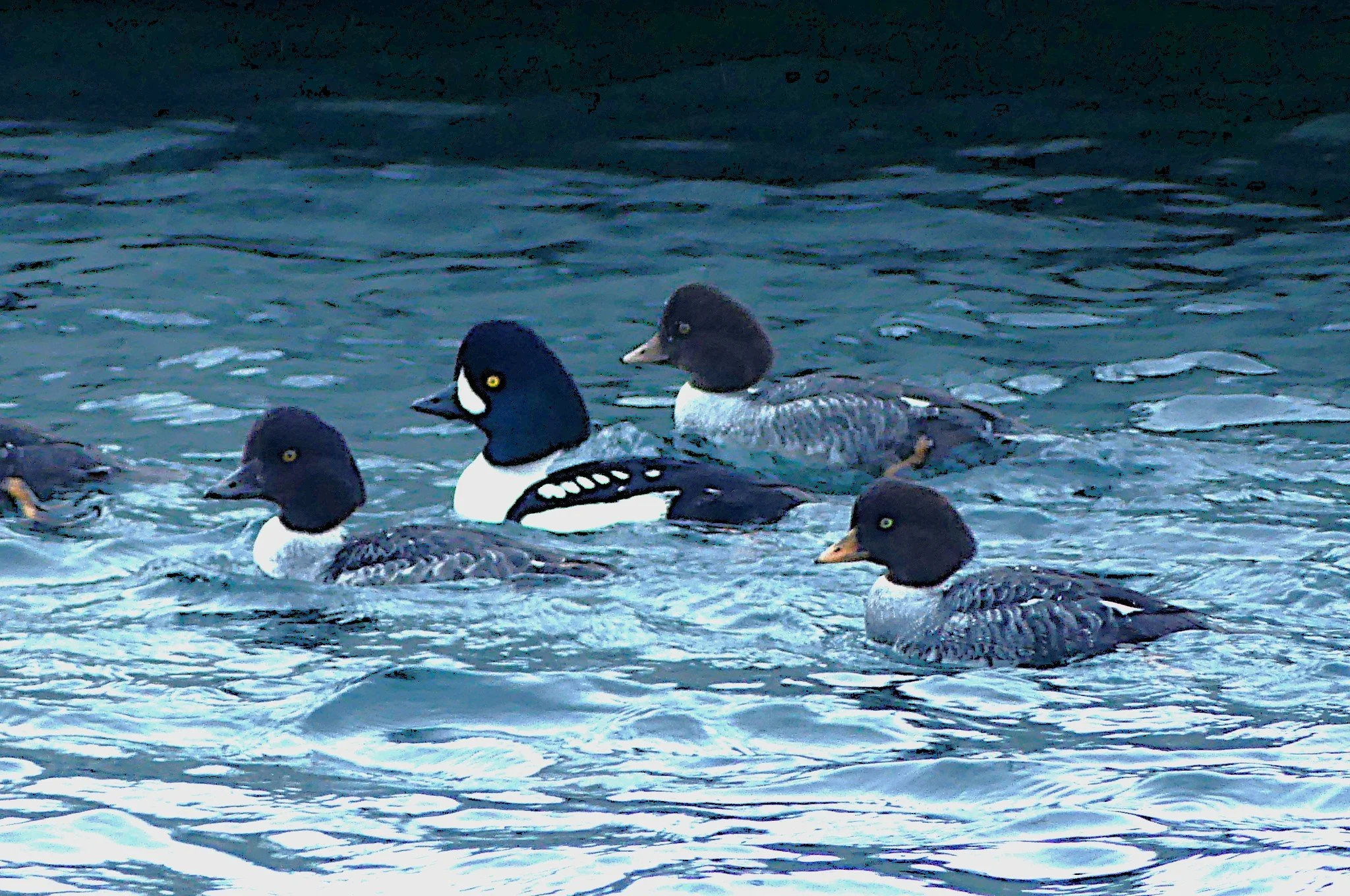 P1340643_1.JPG