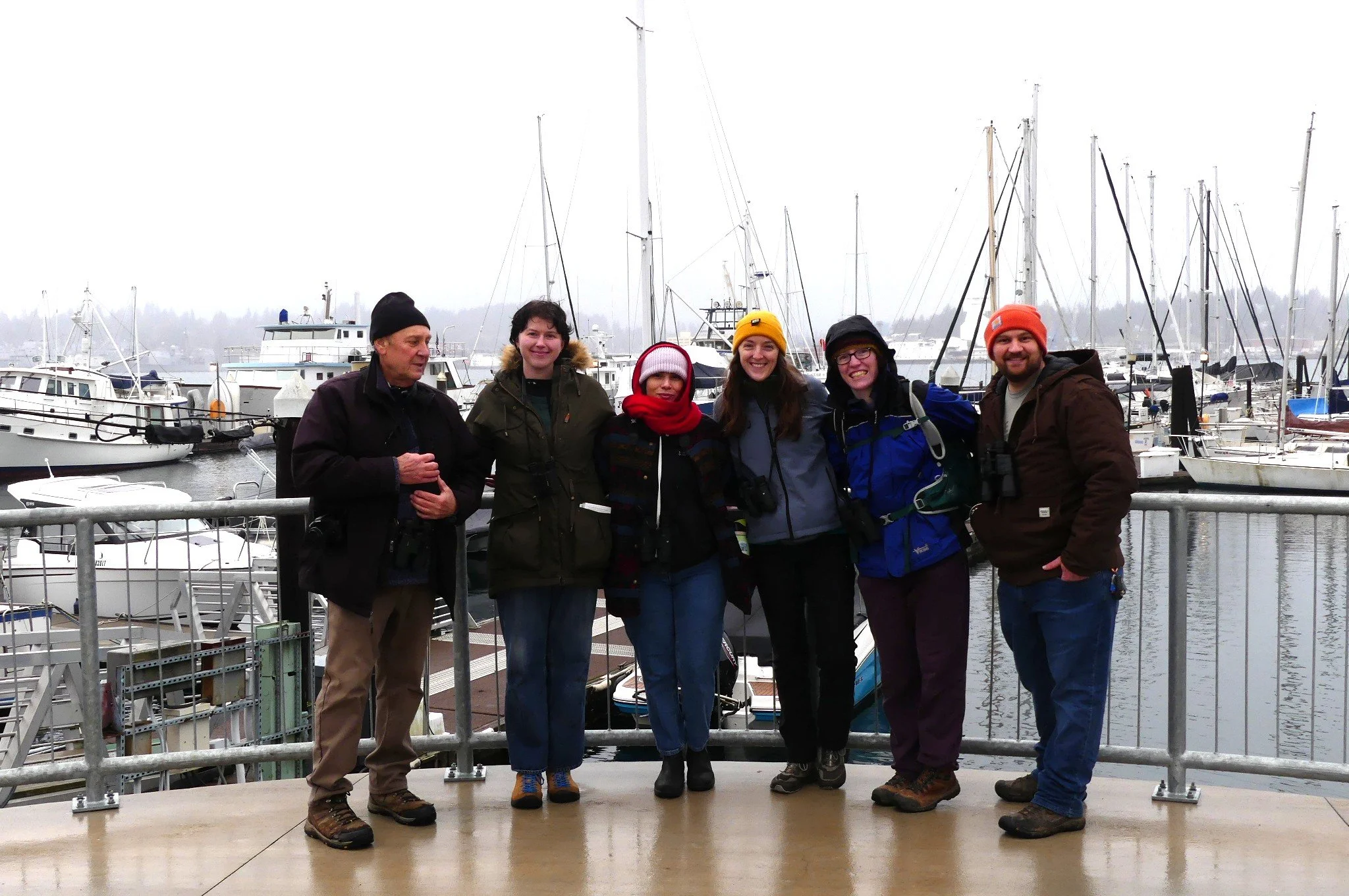 Christmas Bird Count: Port Orchard