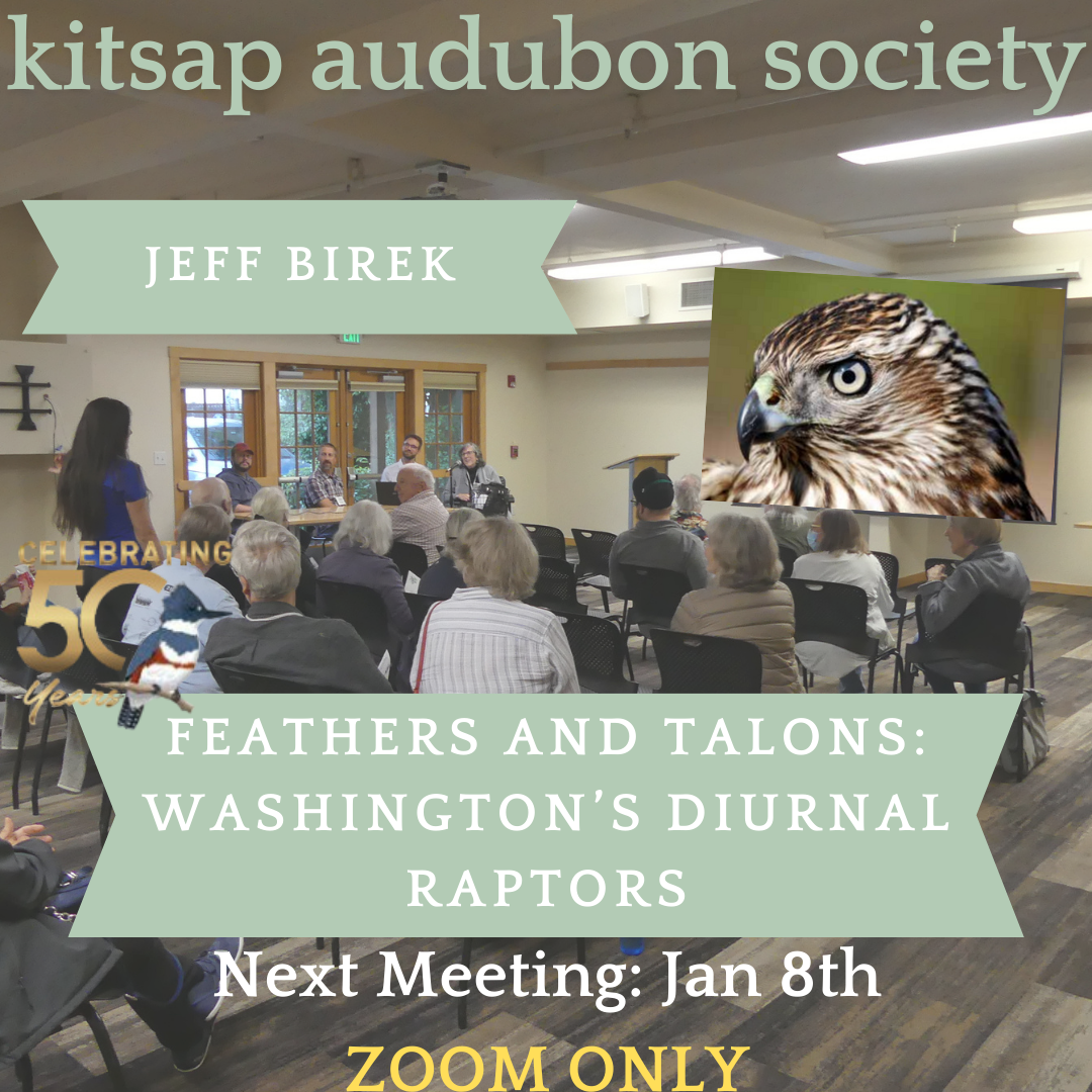 Kitsap Audubon General Monthly Meeting - January